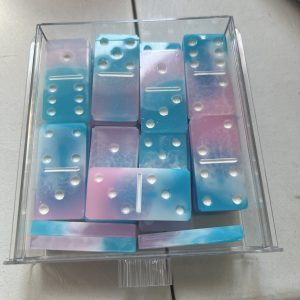 Epoxy Domino Set